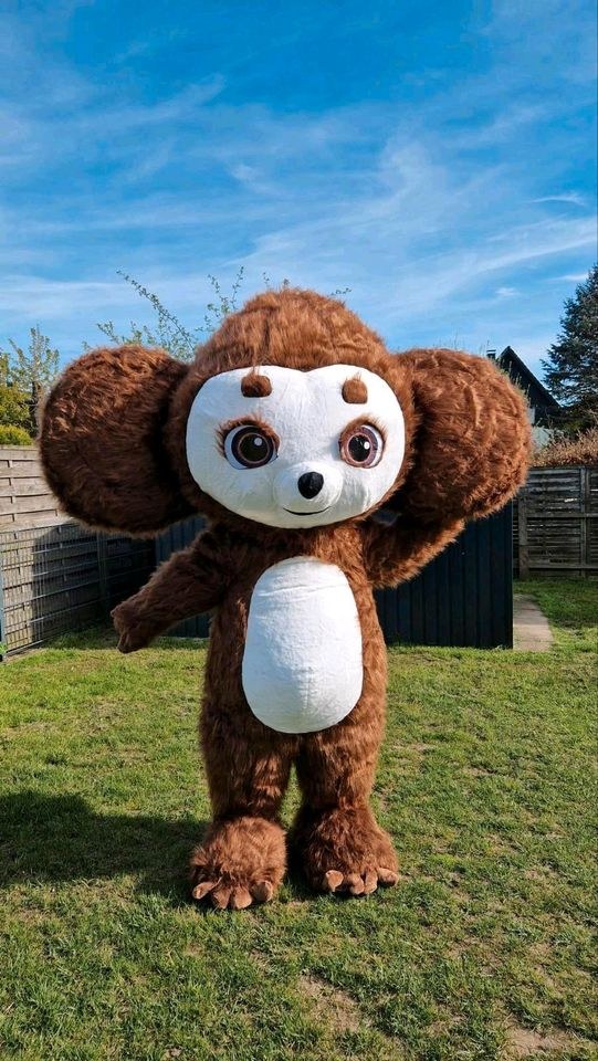 Maskottchen Kostüm чебурашка гена вини пух mieten bei Klassen – 2