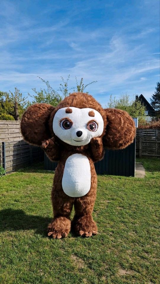Aufblasbare Maskottchen Kostüme mieten bei Klassen – 3