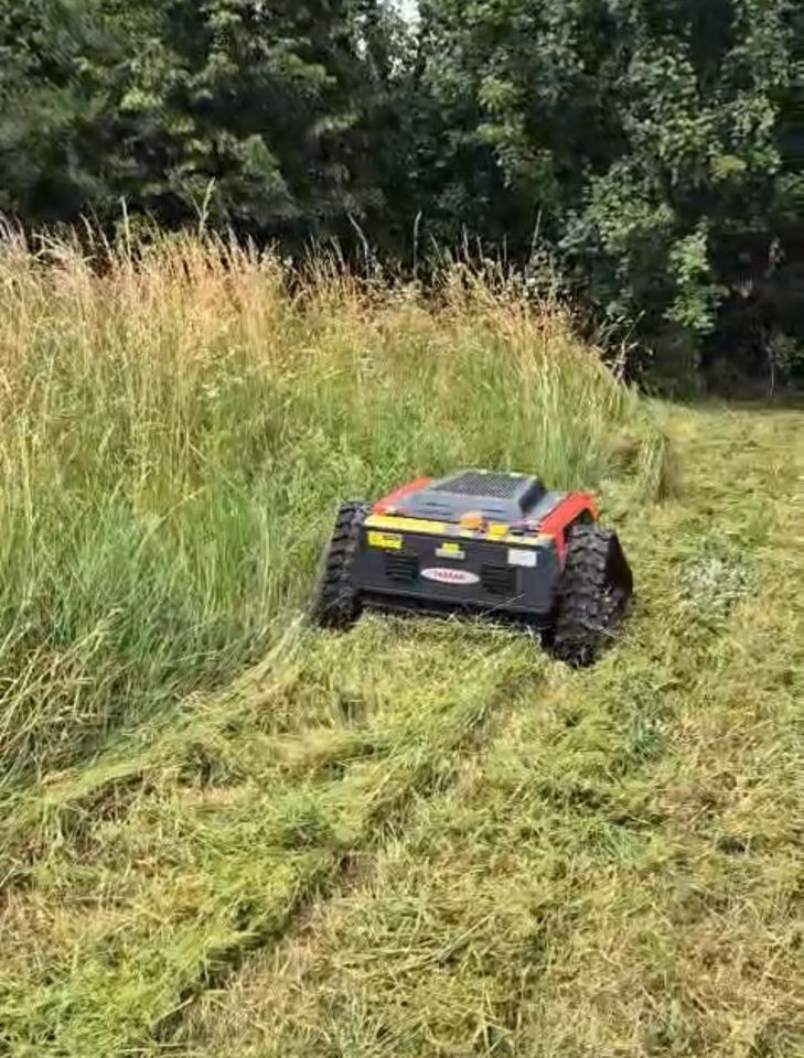 Mähraupe Mulcher mieten in Ergolding – für große Flächen
