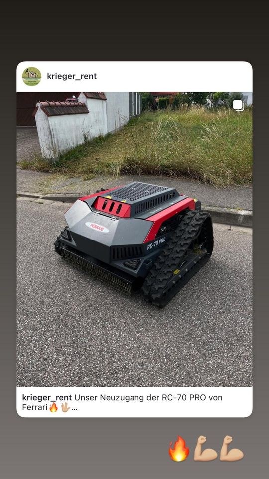 Mähraupe Mulcher mieten in Ergolding – für große Flächen – 3