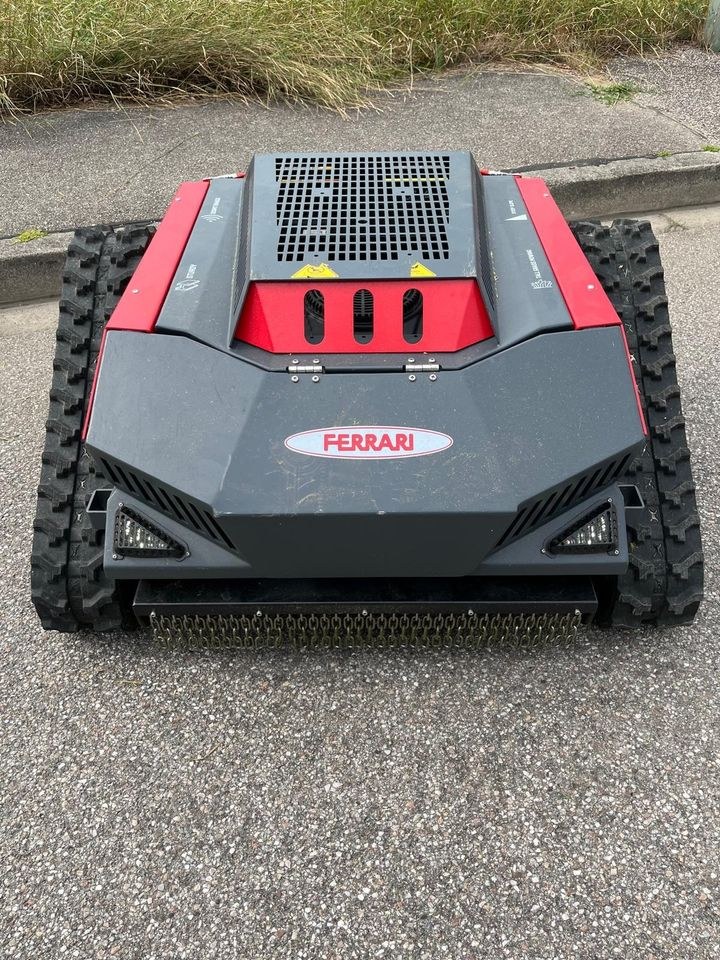 Mähraupe Mulcher mieten in Ergolding – für große Flächen – 2
