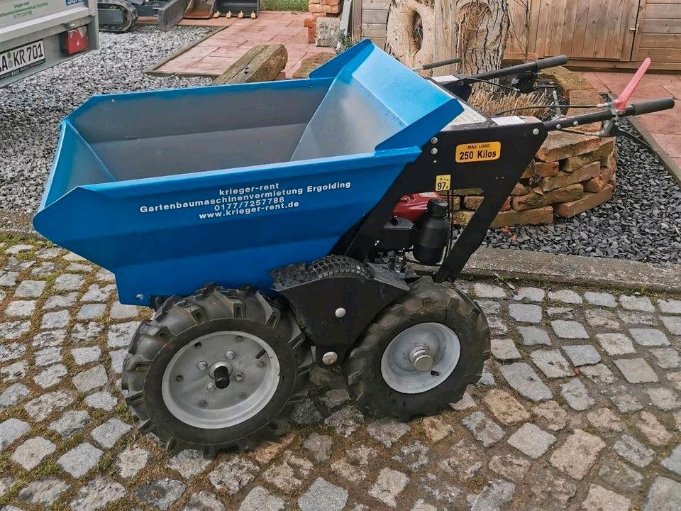 Minidumper mieten in Ergolding – für Aushub & Schutt