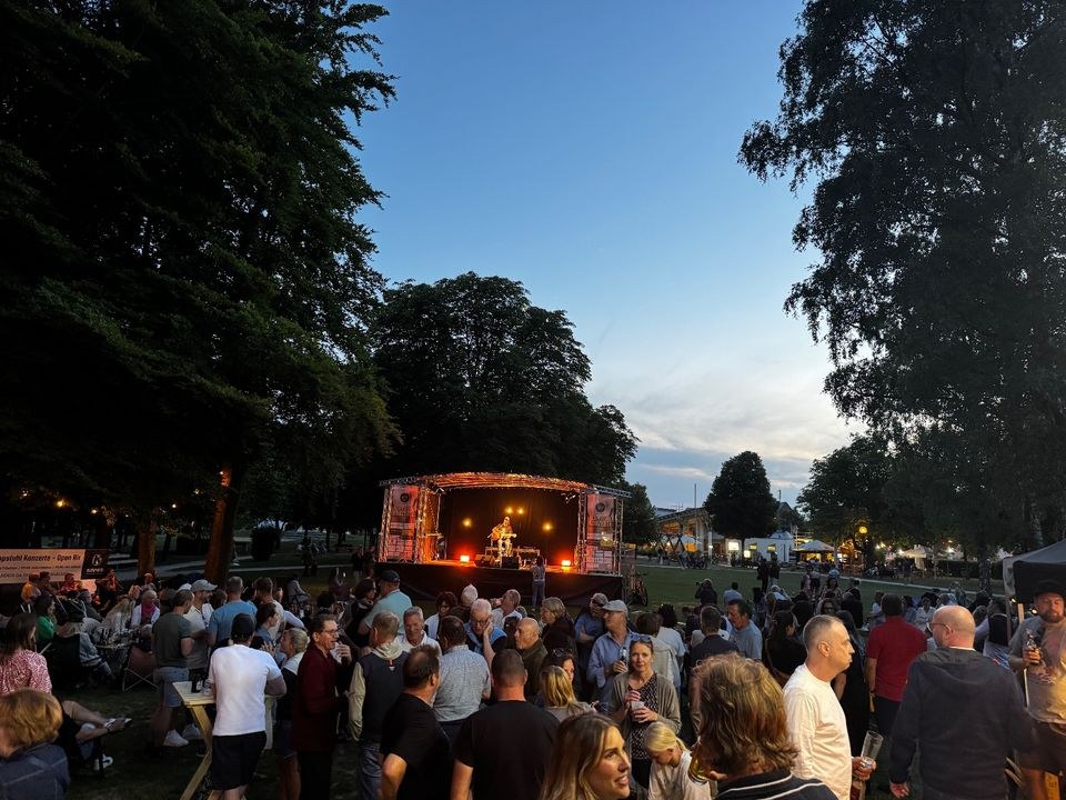 Profi Slush Maschine 3x15l mieten bei Landeis – eiskalt für Ihr Fest – 2