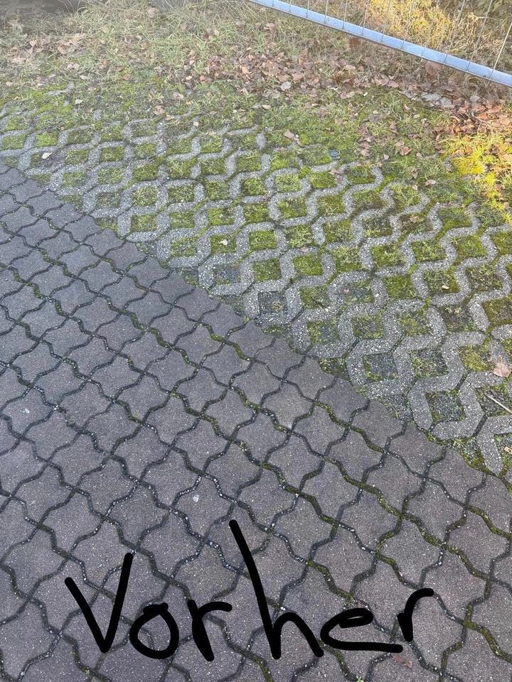 Wildkrautbürste mieten bei André Lommatzsch – für Garten & Grundstück – 2