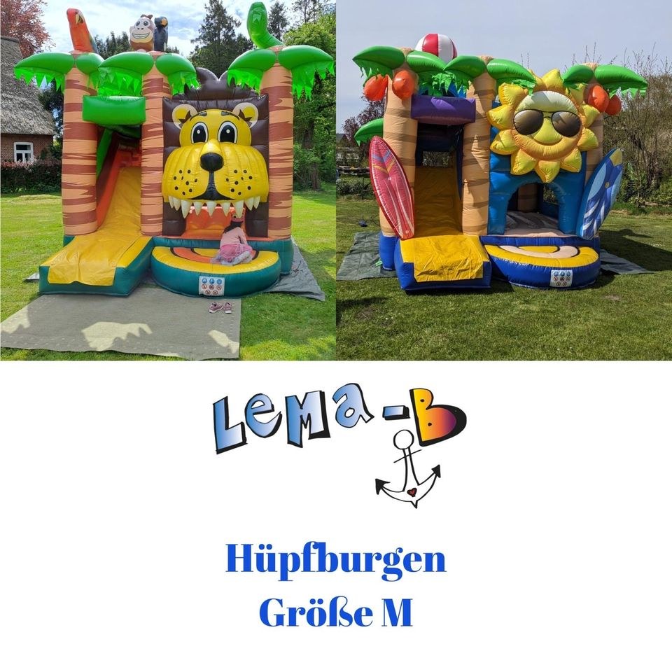 Hüpfburg M Löwe Beach Rutsche mieten bei LeMaB
