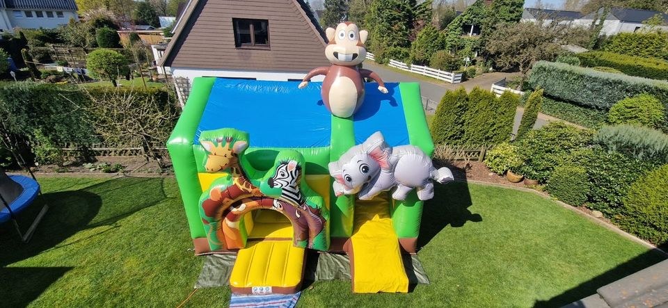 Hüpfburg XL Dschungel Rutsche mieten bei LeMaB – 2