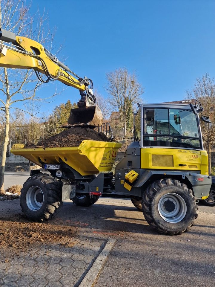 Dumper DV90 Dual View 9 t Nutzlast mieten bei LLS Mietpark – 4