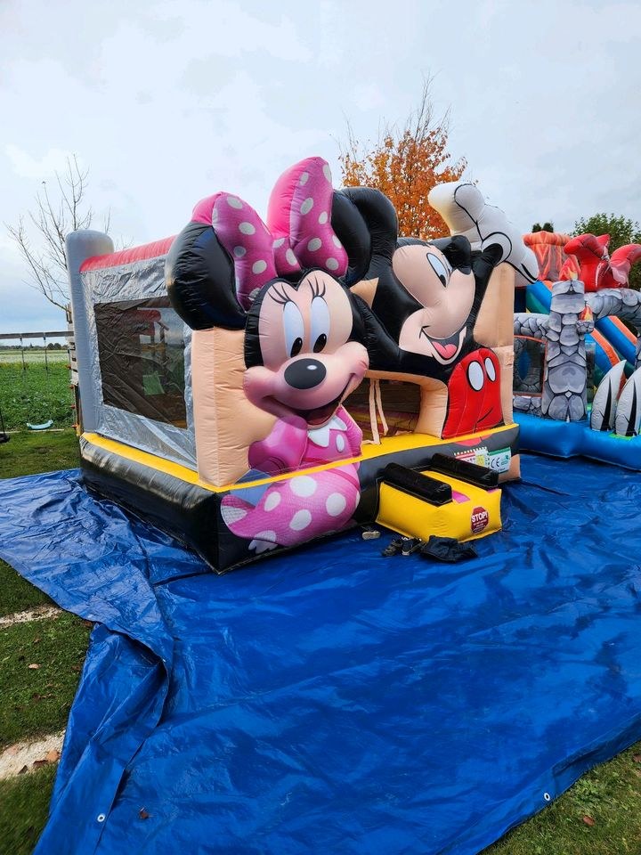 Mickey Hüpfburg mieten in Dillingen (Donau) – Hüpfspaß für jede Feier – 4