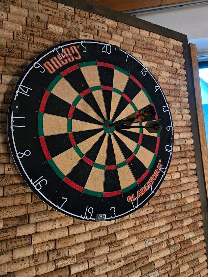 Dartscheibe mobil mieten in Dillingen (Donau) – Spiel & Spaß – 2
