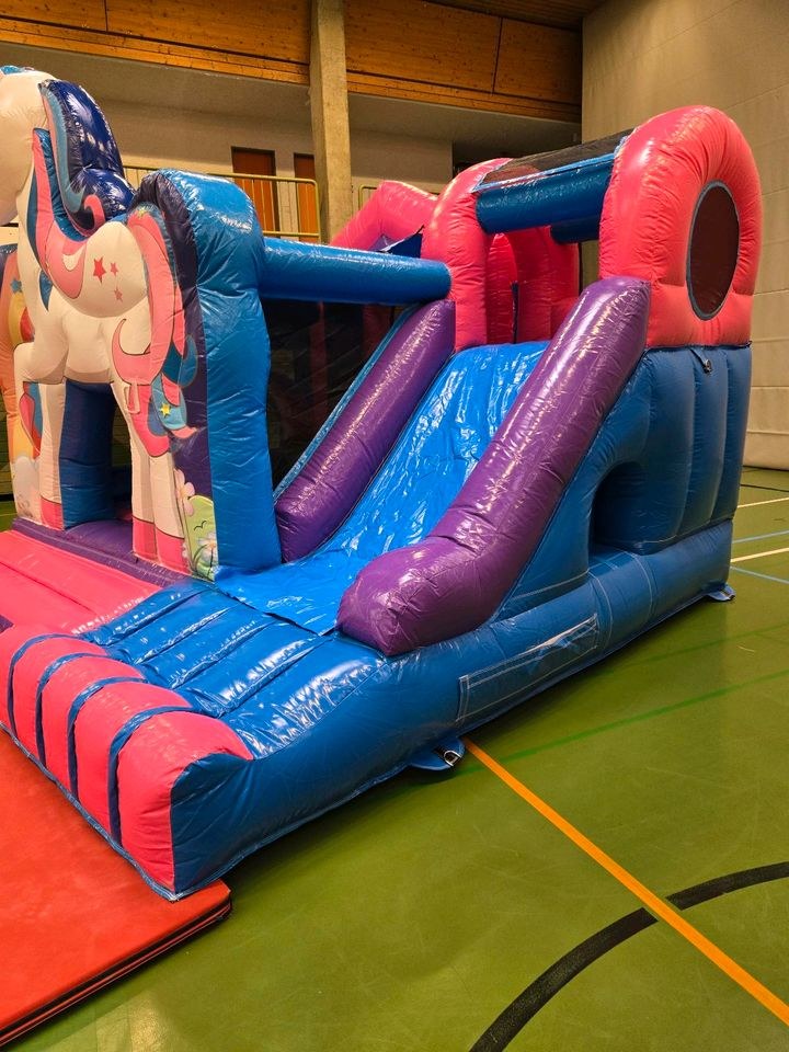 Einhorn Hüpfburg mieten in Dillingen (Donau) – Hüpfspaß für jede Feier – 4