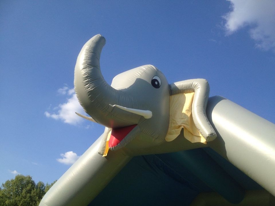 Elefant Hüpfburg Elefanten Jungle Tiere mieten bei hüpf24 – 3