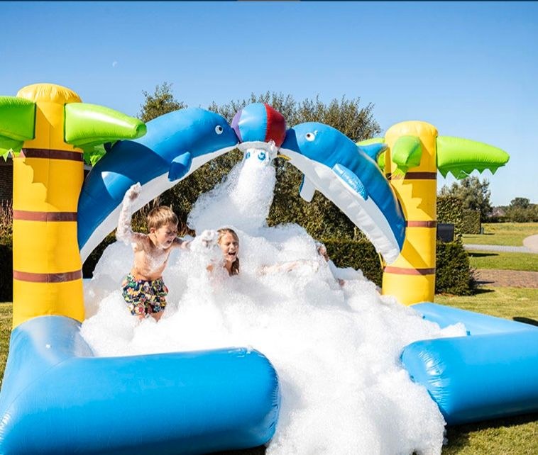 Delfin Bubblepark Schaum Hüpfburg Schaumparty mieten bei hüpf24