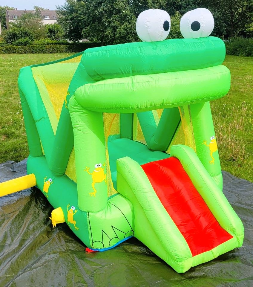 Hüpfburg Frosch mieten in Gelsenkirchen – für Gräben & enge Stellen – 2