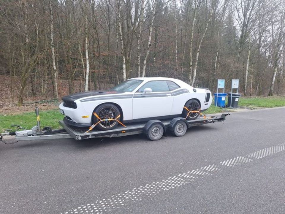 Tiki Autotransporter 3000kg Tieflader mieten in Sulzbach (Saar) – 2