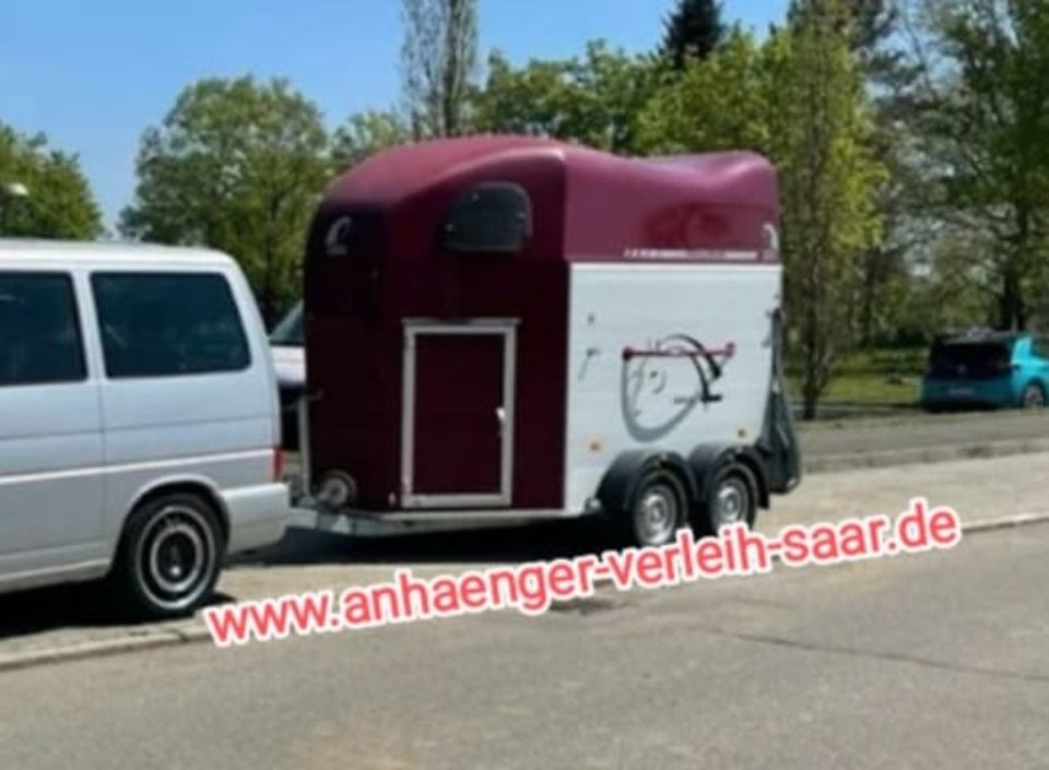 Cheval Liberte Origins Gold Aluminium mieten in Sulzbach (Saar)