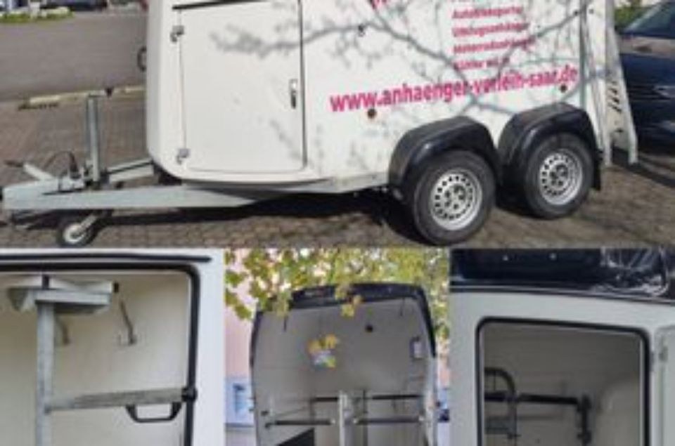 Pferdeanhänger Blomert New Star mieten bei Mieten Statt Kaufen AVS – 2