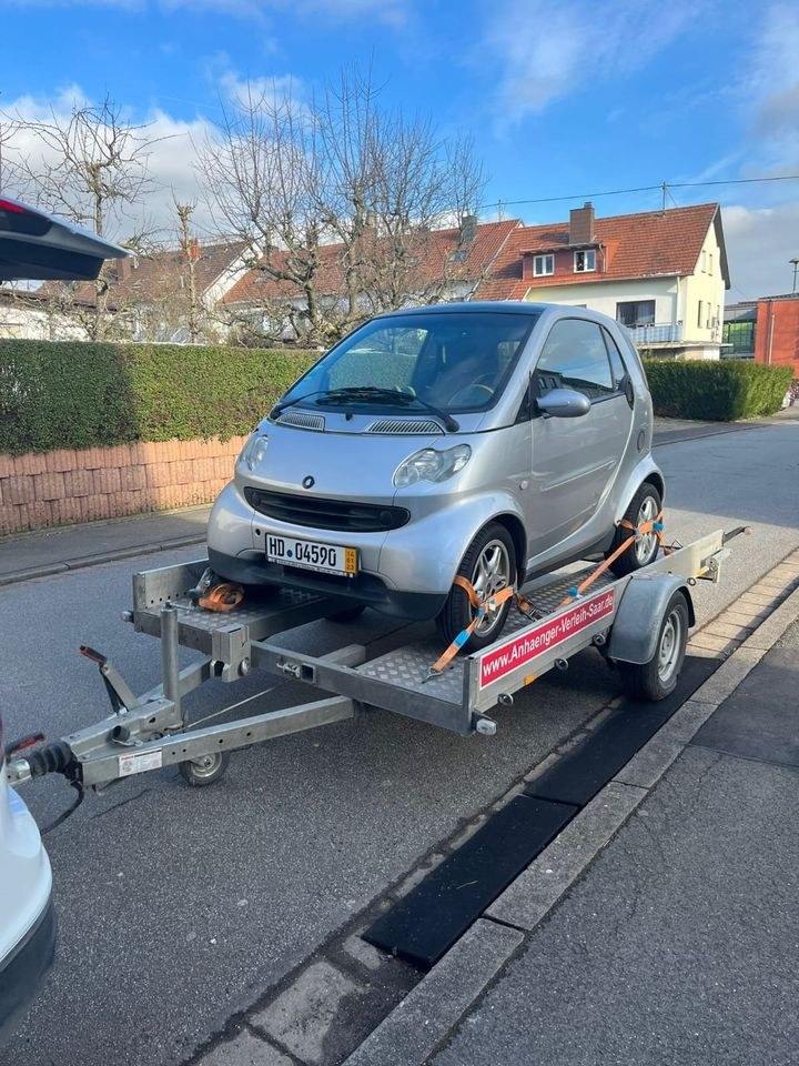 Autotransporter 1,3t B Führerschein Anssems Eco mieten – 2