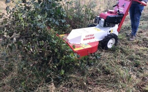 Geländemäher Gestrüppmäher mieten in Ronnenberg – 4