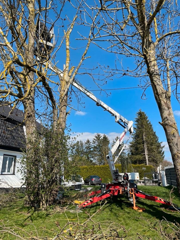 Anhänger Arbeitsbühne 12 17 m mieten bei Mietpark Gerstmayer Lauingen