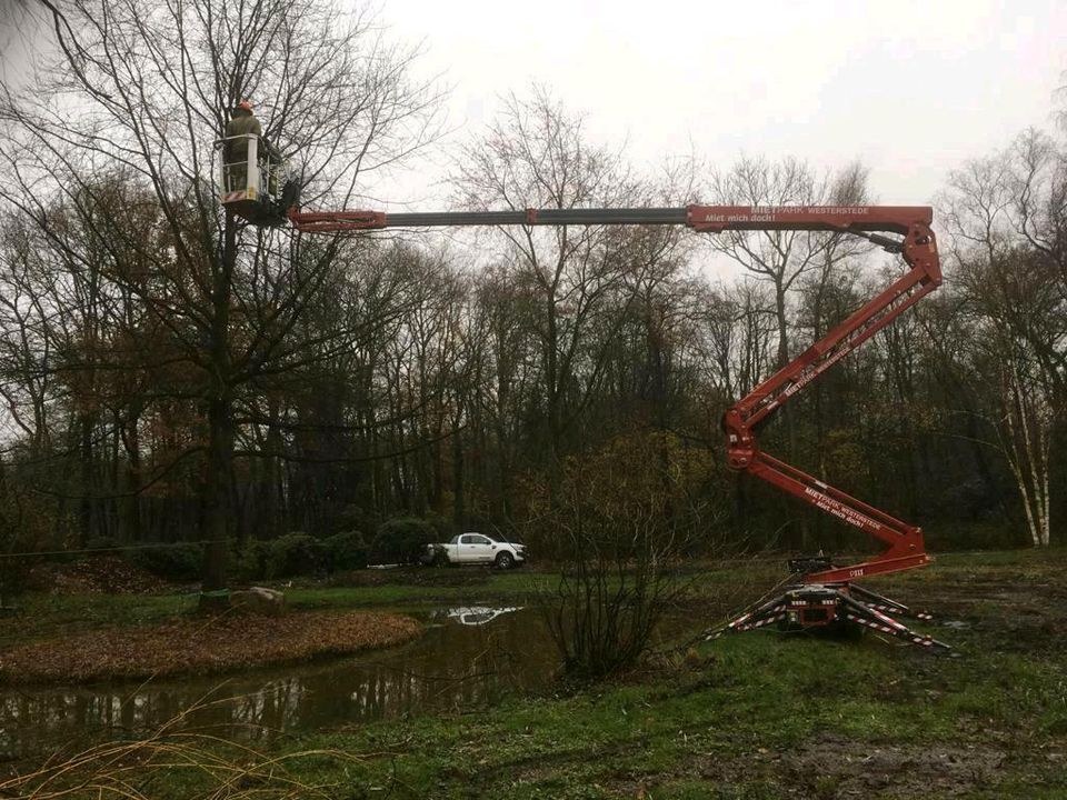 Raupenbühne Gelenkteleskopbühne Steiger mieten in Westerstede – 2