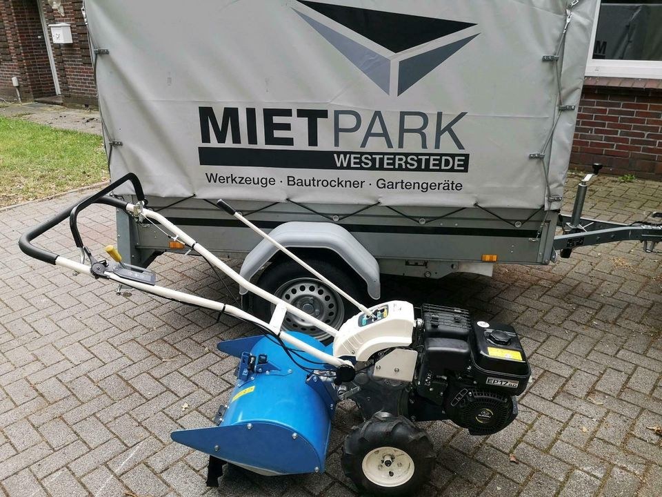 Gartenfräse Umkehrfräse Bodenfräse Mietpark WST mieten in Westerstede