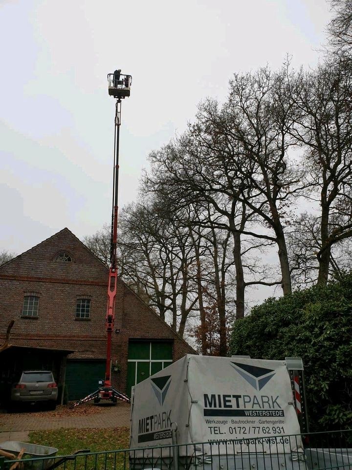 Raupenbühne Gelenkteleskopbühne Steiger mieten in Westerstede – 3