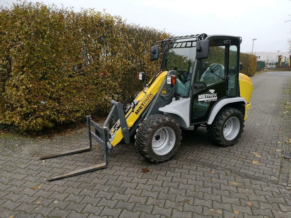 Radlader Hoflader Giant Kramer mieten bei Mietpark Westerstede – 2