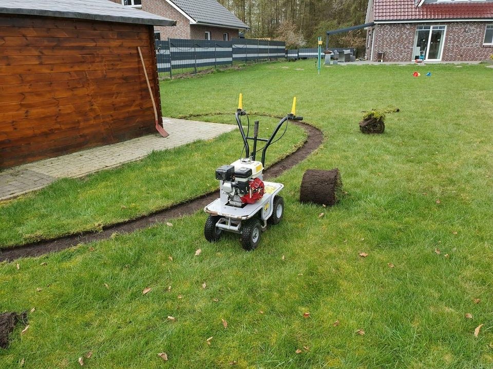 Sodenschneider Rasenschälmaschine Mietpark WST mieten in Westerstede – 2