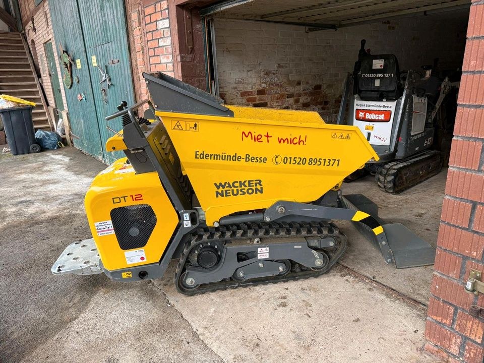Wacker Neuson Dumper DT12 Kettendumper mieten in Edermünde – 4