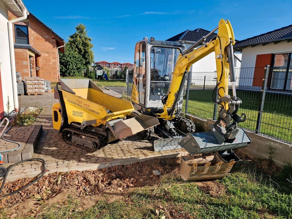 Minibagger 2 t Bagger Wacker Neuson ET 18 mieten in Edermünde – 4