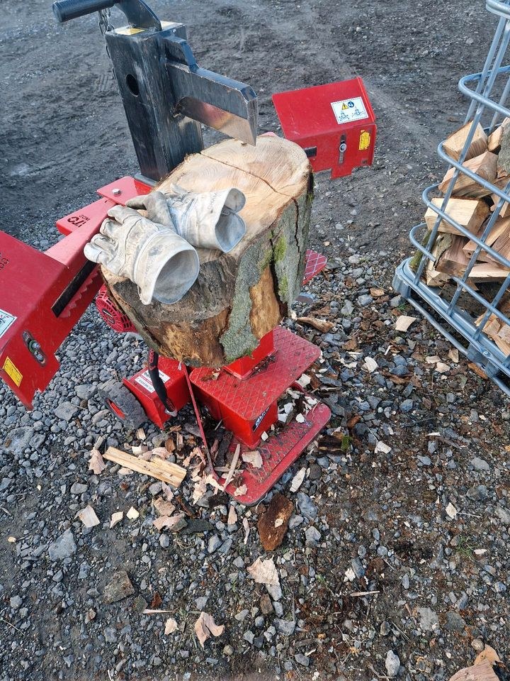 Holzspalter Benzin 12t Spaltkraft Brennholz mieten in Edermünde – 2