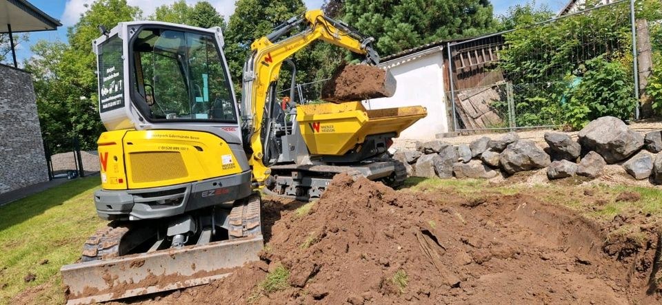 Dumper DT23 2,5 t Kettendumper Wacker Neuson mieten in Edermünde – 4