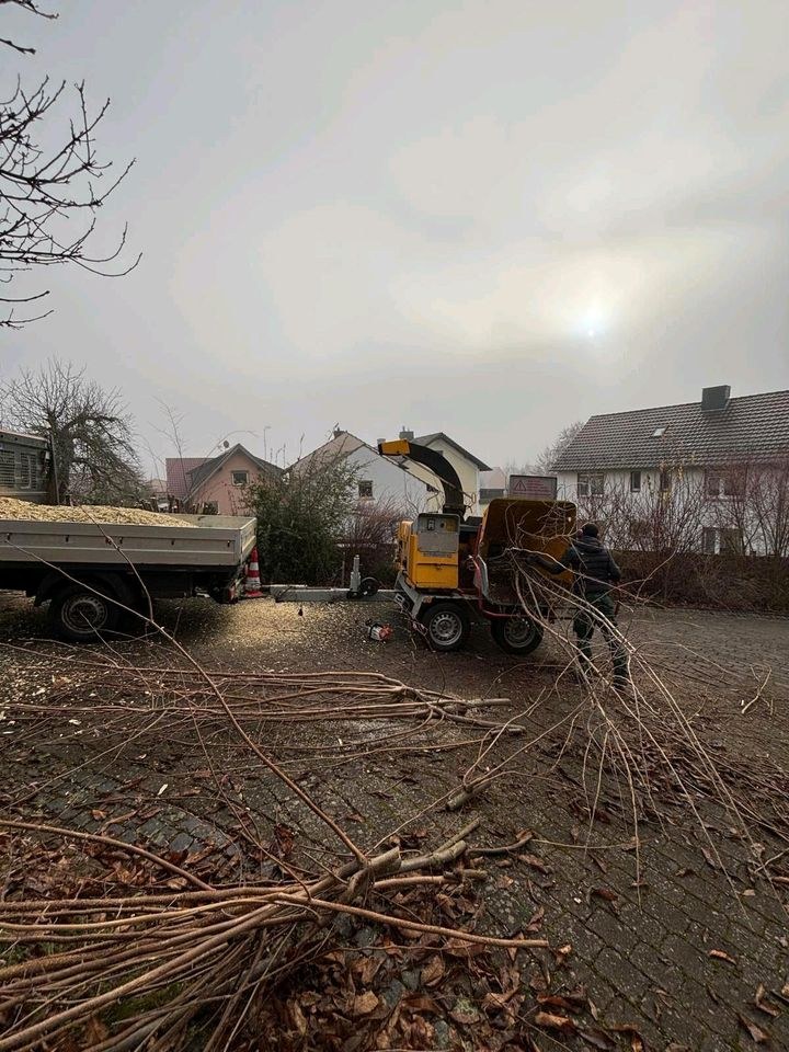 Holzhäcksler Häcksler Holzhacker Schredder mieten in Edermünde – 3