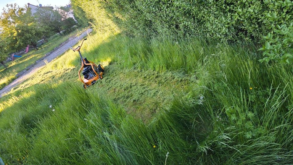 Rasenmäher AS Motor Mulchmäher Fangkorb mieten in Edermünde – 4