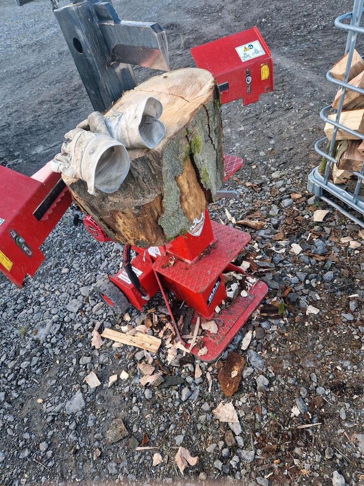 Holzspalter Benzin 12t Spaltkraft Brennholz mieten in Edermünde – 3