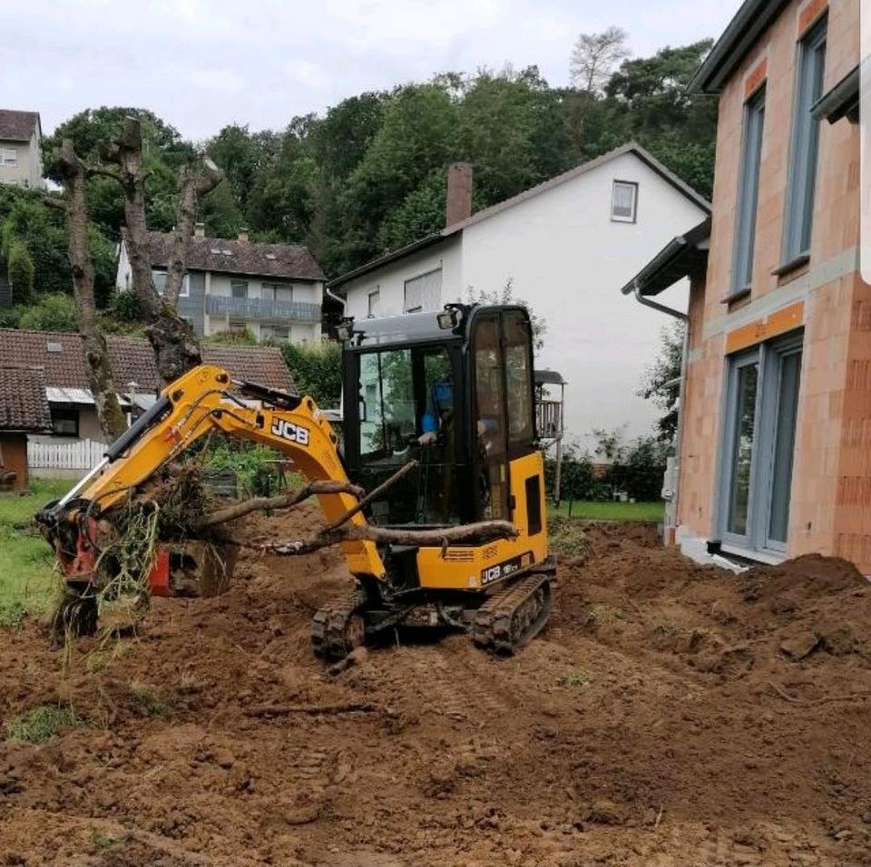 Minibagger JCB 19C 1 Bagger 2 t Kettenbagger mieten in Edermünde – 2