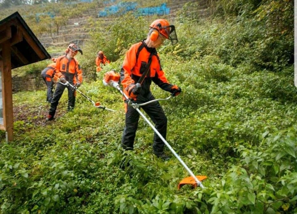 Stihl Freischneider Motorsense Fs 460 C em 2 mieten in Edermünde – 4