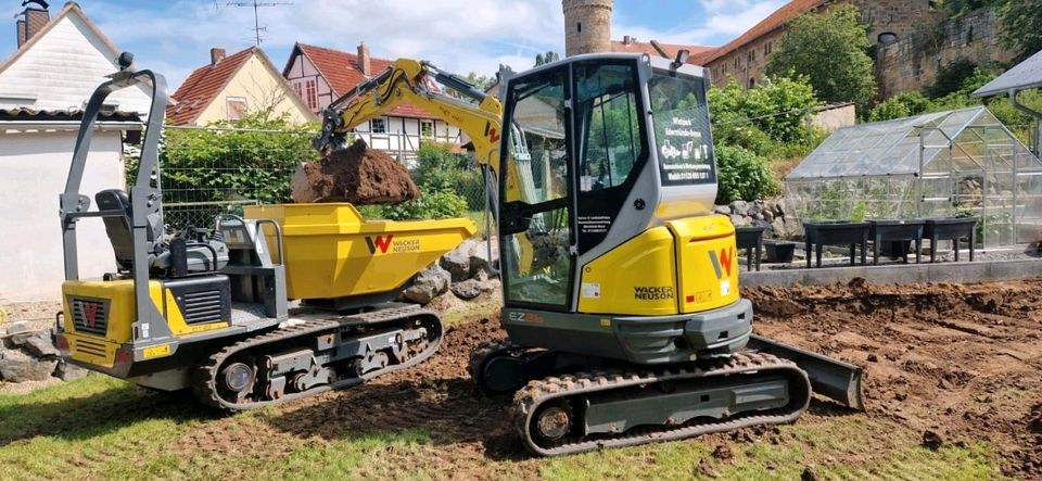 Dumper DT23 2,5 t Kettendumper Wacker Neuson mieten in Edermünde – 2