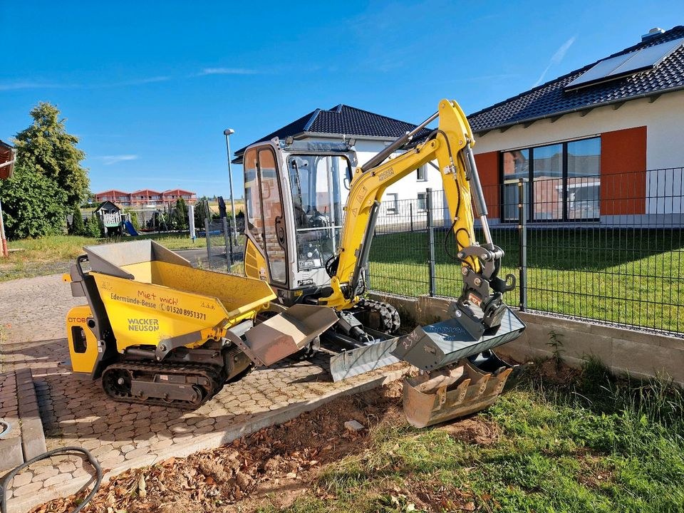 Dumper DT 08 Wacker Neuson Muldenkipper mieten in Edermünde – 2