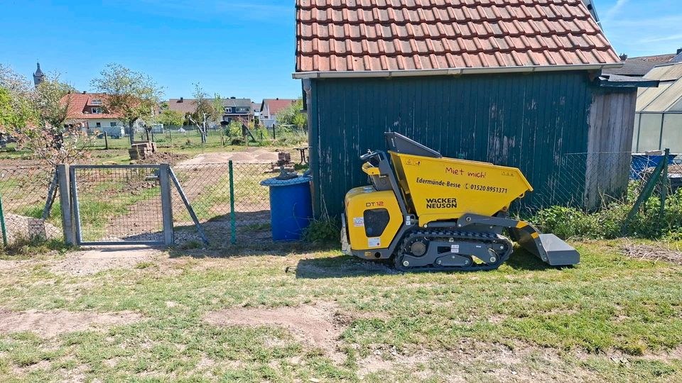 Wacker Neuson Dumper DT12 Kettendumper mieten in Edermünde – 2