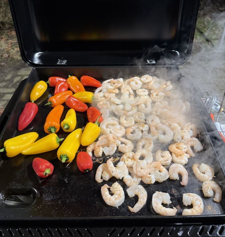 Partygrill Eventgrill Gasgrill mieten in Dorsten – für viele Gäste – 2