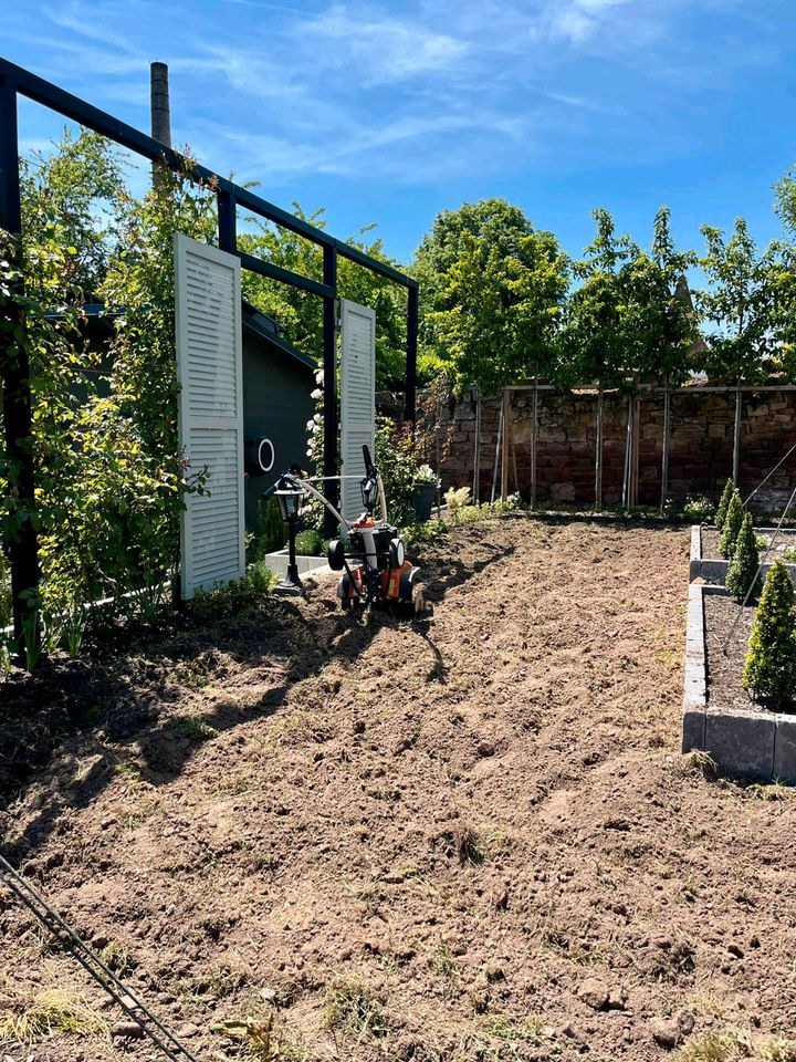 Motorhacke Bodenfräse STIHL MH 445 Gartenfräse mieten in Sippersfeld – 2