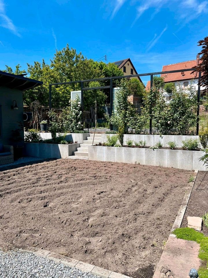 Motorhacke Bodenfräse STIHL MH 445 Gartenfräse mieten in Sippersfeld – 3