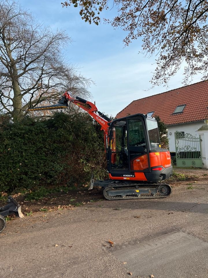 Astschere MS03 Heckenschere Hecke schneiden mieten in Raesfeld – 2