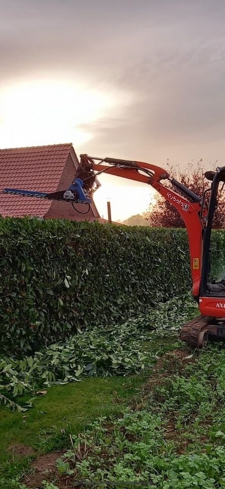 Heckenschere MS01 Hecke schneiden mieten in Raesfeld – 4
