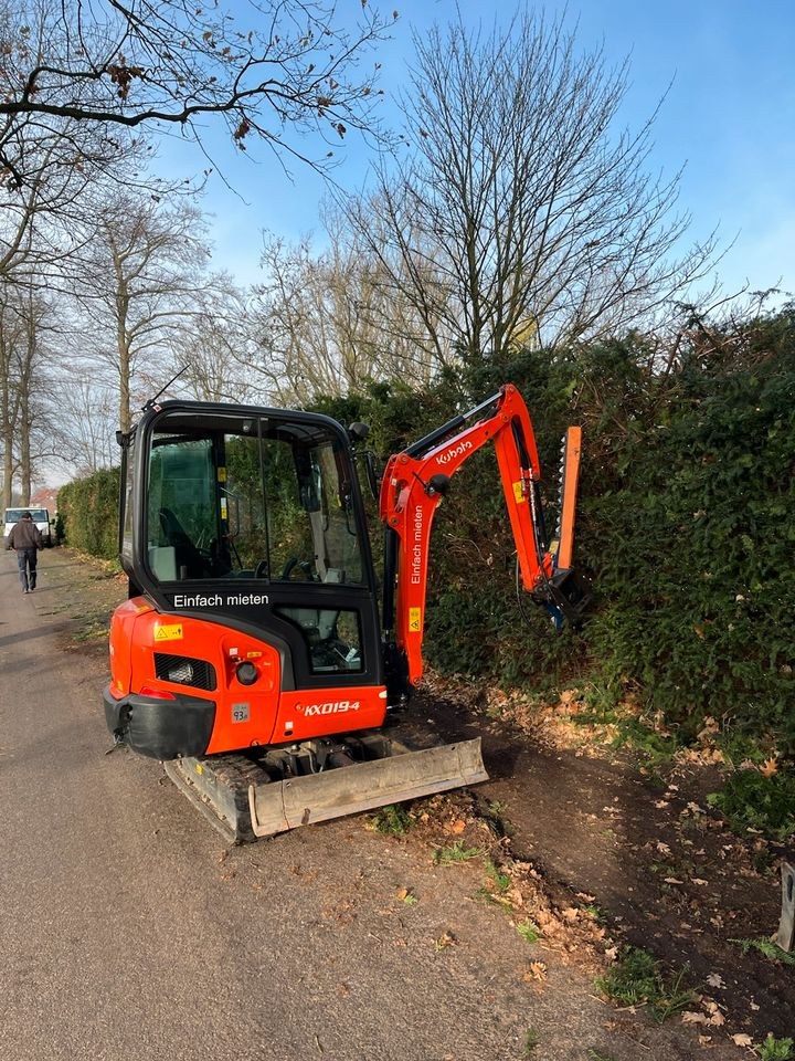 Heckenschere MS01 Hecke schneiden mieten in Raesfeld