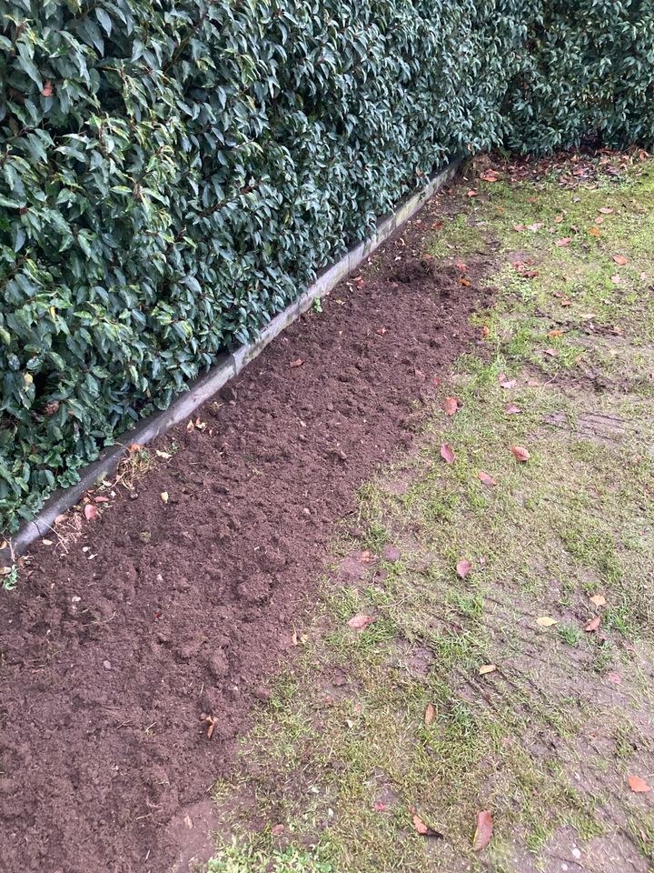 Motorhacke Bodenfräse Motorfräse Walze Garten mieten in Raesfeld – 3