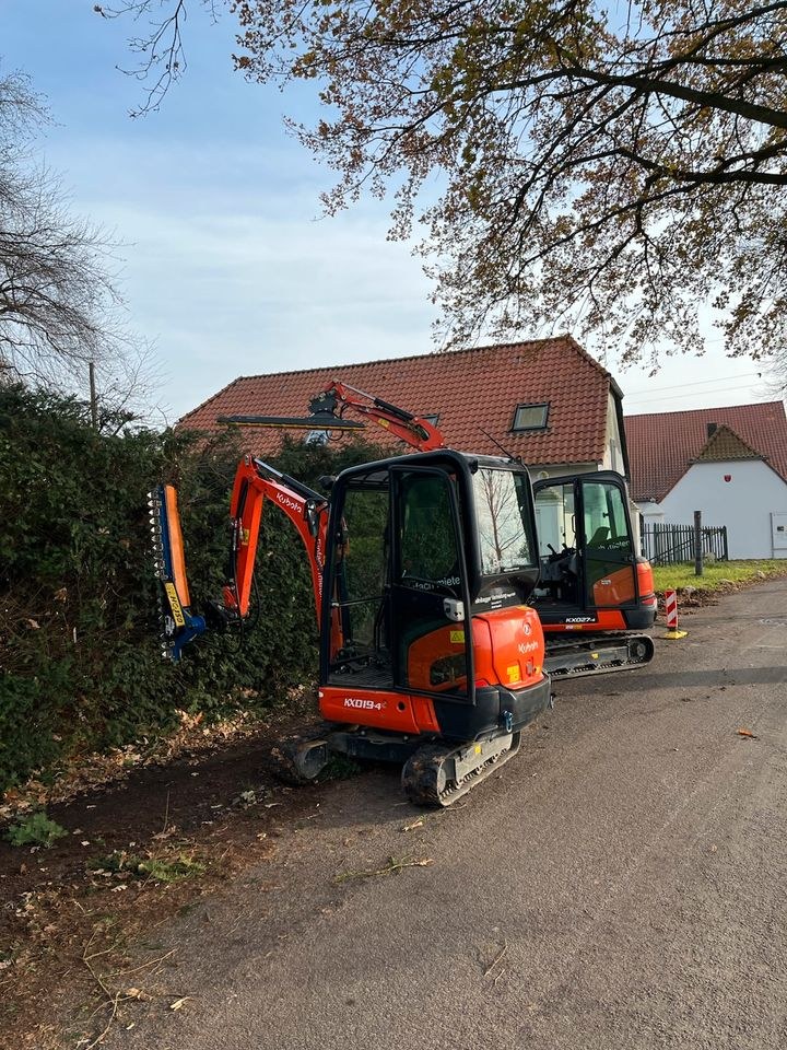 Astschere MS03 Heckenschere Hecke schneiden mieten in Raesfeld – 4