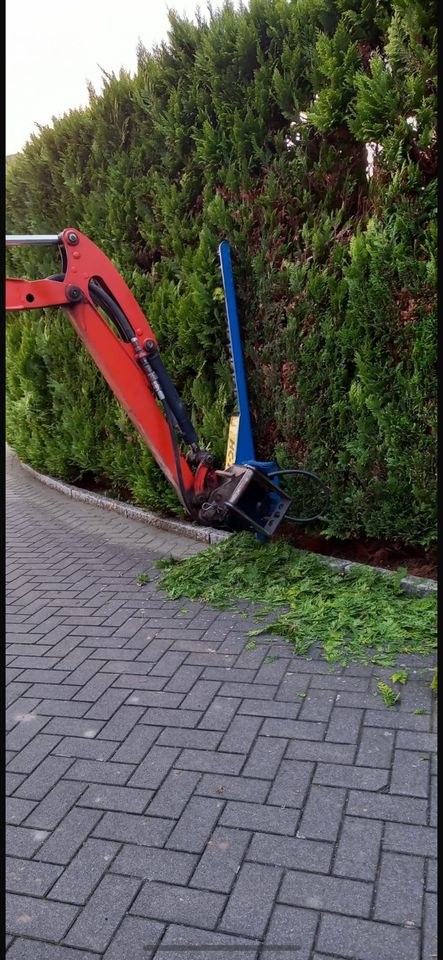 Heckenschere MS01 Hecke schneiden mieten in Raesfeld – 3