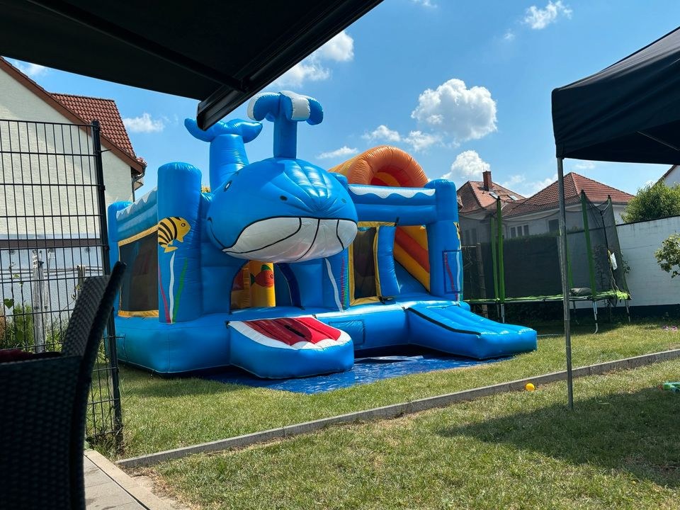 Hüpfburg Wal Kinder mieten in Bad Vilbel – Hüpfspaß für jede Feier